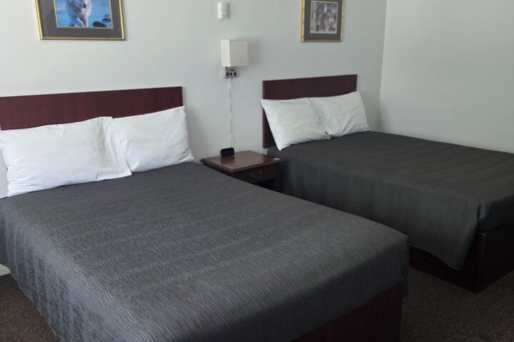 White Fang Motel