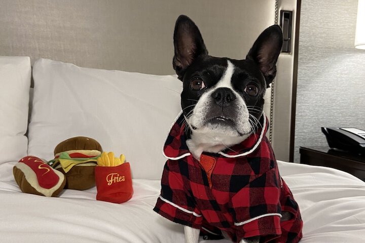 Pet Friendly 118 of 122