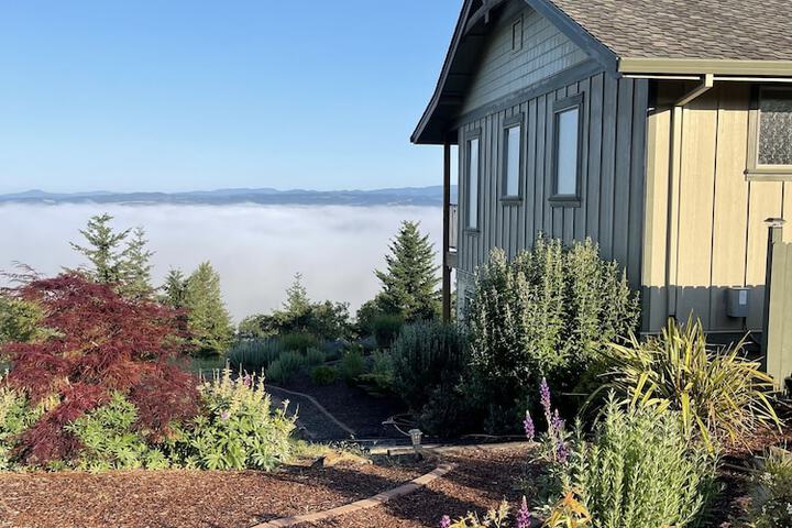 Bella Collina Bed & Breakfast