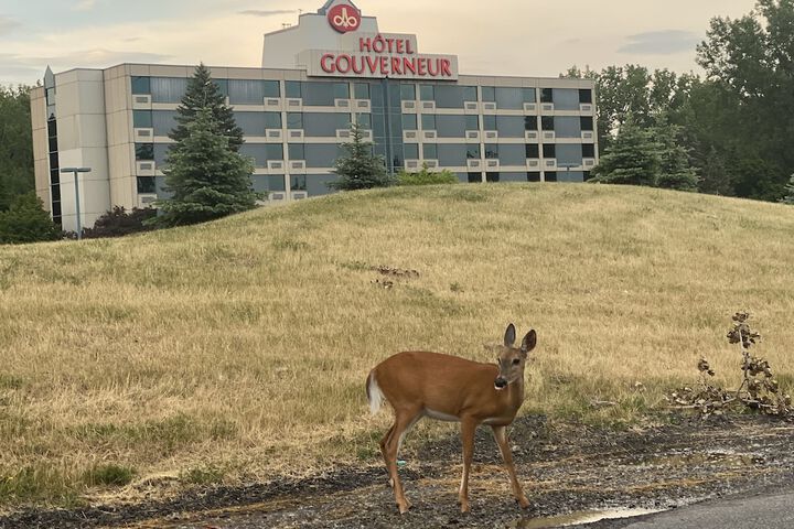 Hotel 3 of 27