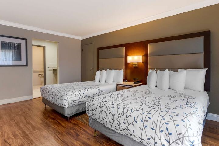 Room 60 of 93