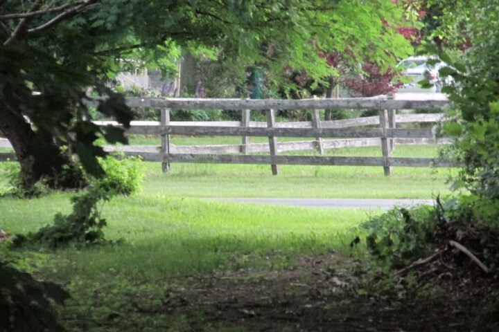 Property Grounds 37 of 46