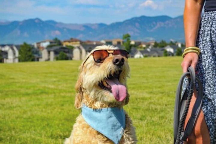 Pet Friendly 108 of 112