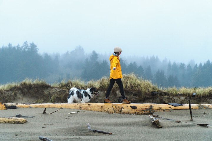 Salishan Coastal Lodge
