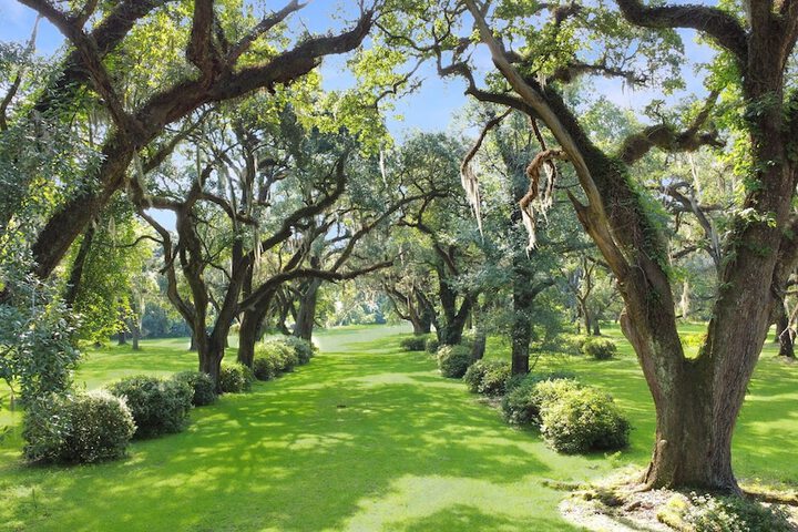 Greenwood Plantation B & B