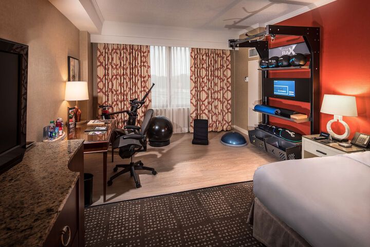 Hilton Anatole
