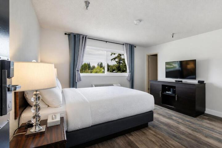 Hotel International