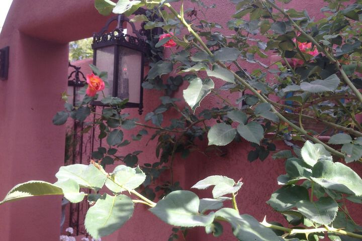 Hotel Exterior 274 of 285