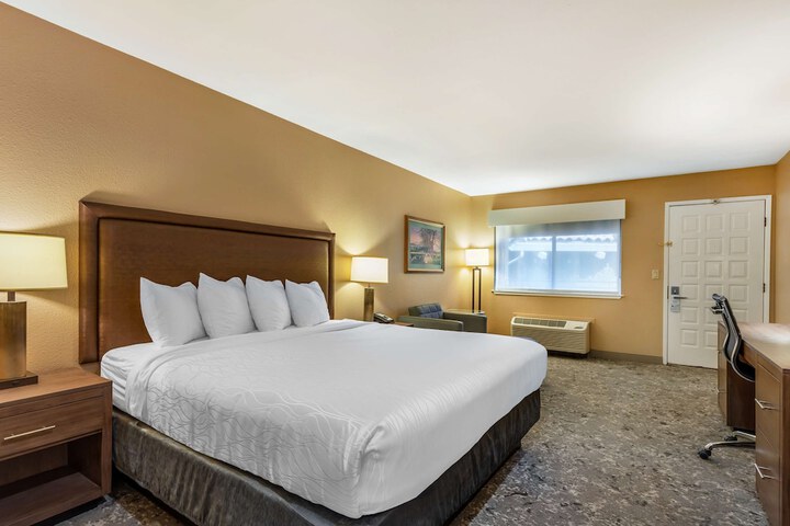 Room 41 of 52