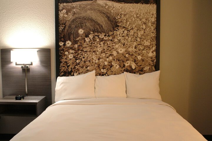 Boarders Inn & Suites