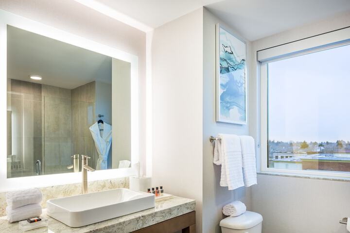 Best Western Premier Hotel at Fishers Landing