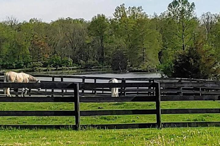 102 Acre Pet Friendly Horse Farm! Bring your horse too!