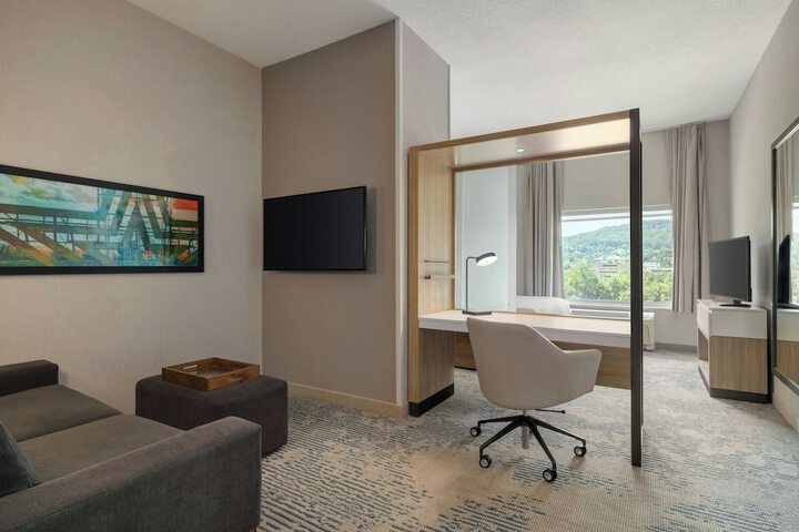 SpringHill Suites by Marriott Roanoke