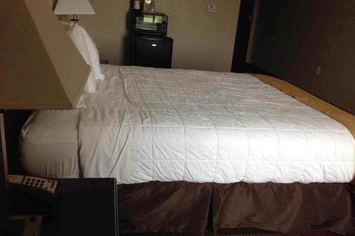 Room 22 of 40