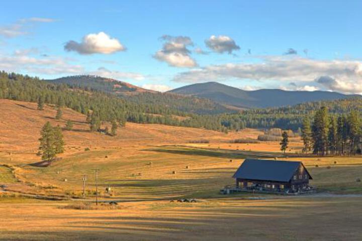 Cosmos Cabin