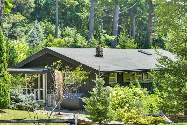La Petite Chalet w / Views in Blue Ridge Mtns!