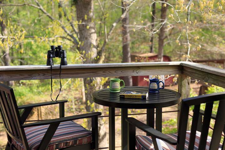 Terrace/Patio 23 of 28