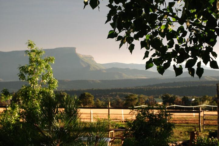 Starry Nights Ranch Bed & Breakfast