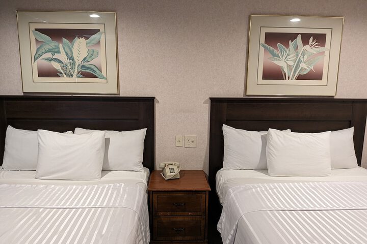 Room 27 of 49