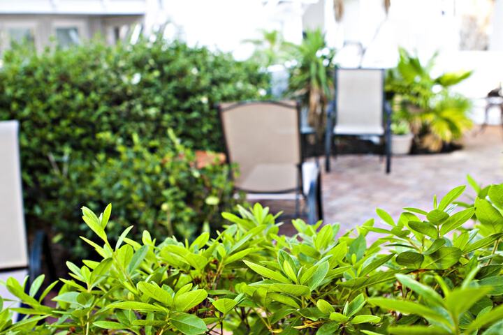DeSoto Beach Gardens
