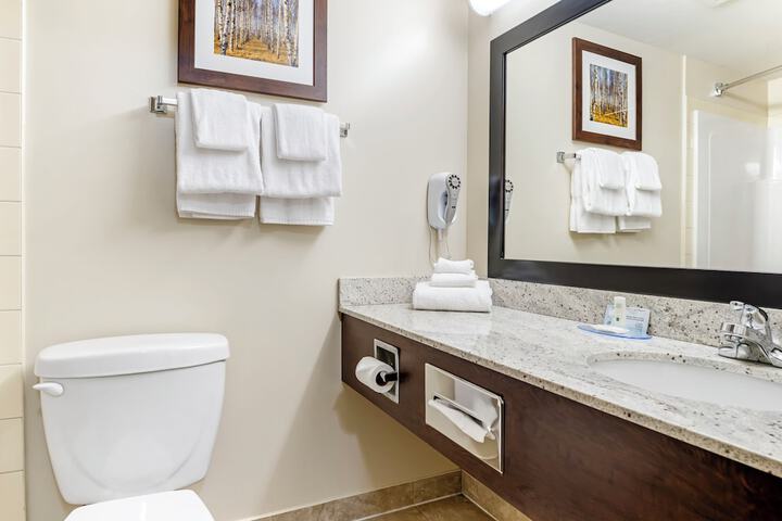 Quality Inn Airport