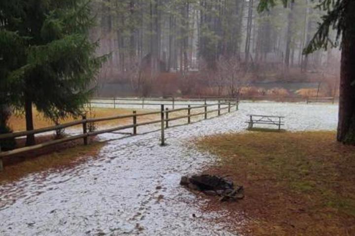 Cold Springs Resort