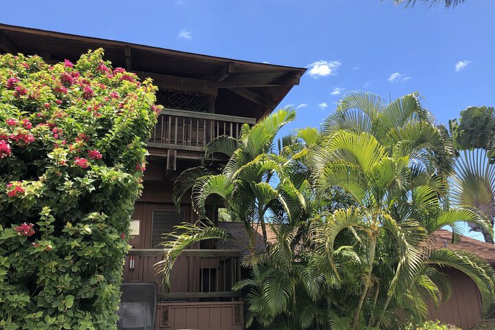Hotel 4 of 52