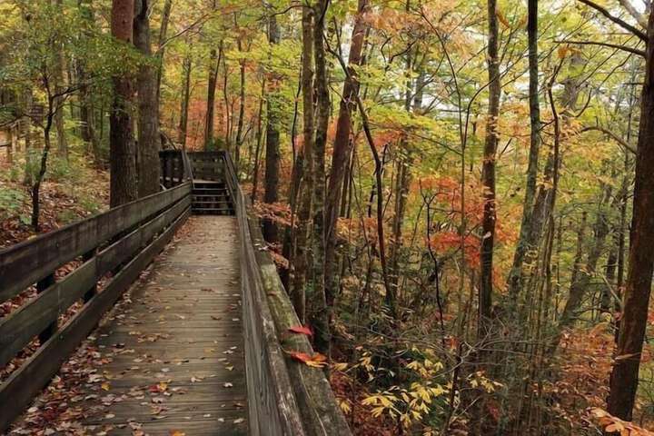 Nacoochee Valley Lodge