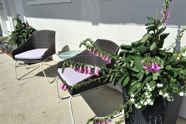 Terrace/Patio 73 of 80