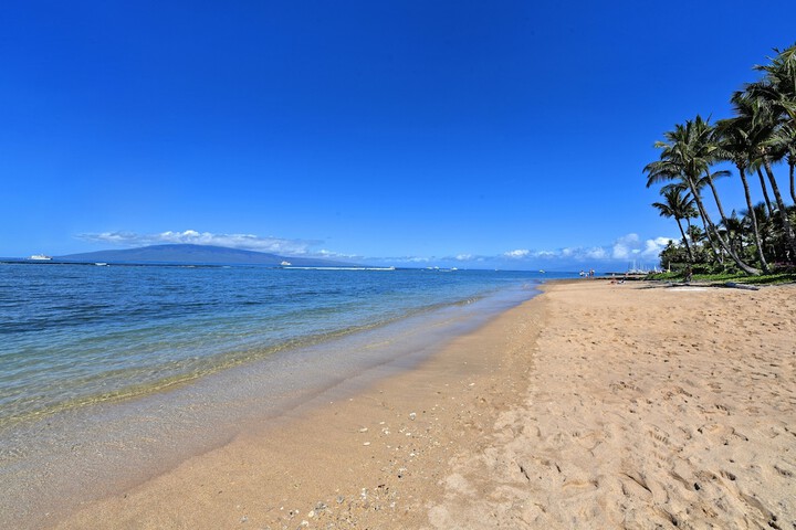 Beach 29 of 45