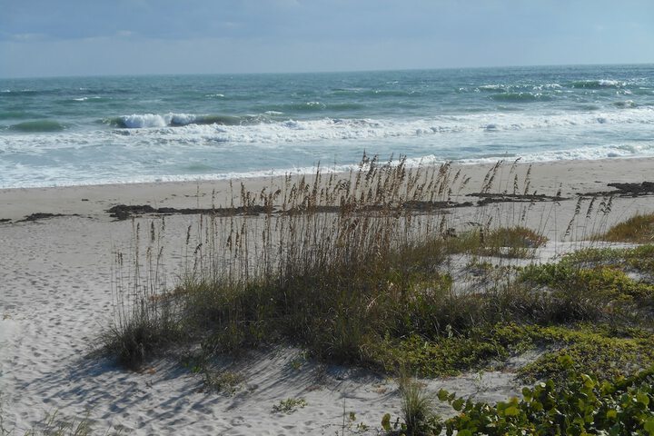 Beach 43 of 50