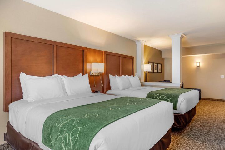Comfort Inn & Suites Schenectady - Scotia