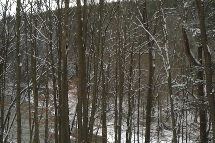 Property Grounds 34 of 37