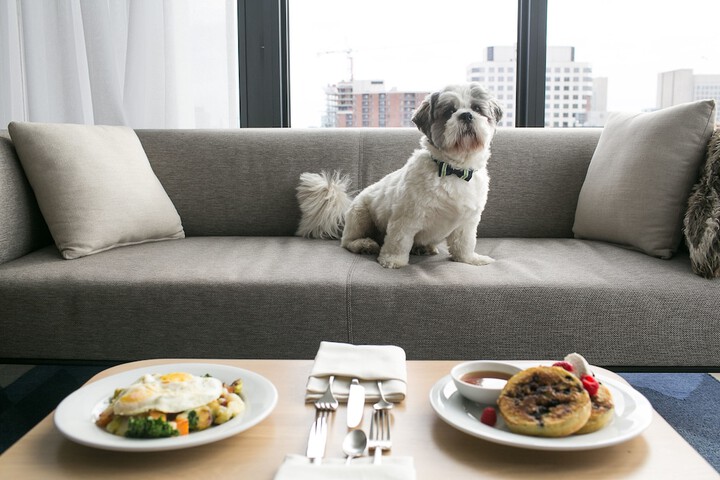 ANDAZ OTTAWA BYWARD MARKET BY HYATT