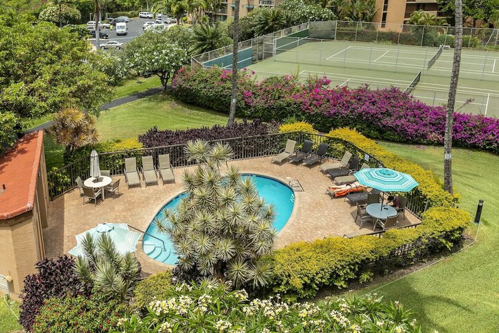 Pool 17 of 271