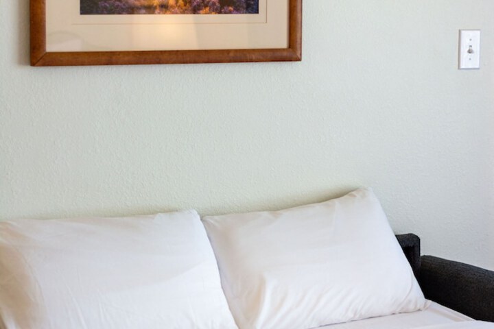 Swiss Alps Inn