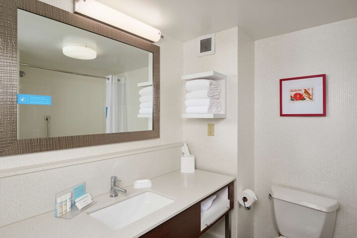 Hampton Inn & Suites Oxford Anniston