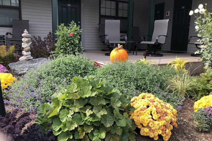 Terrace/Patio 24 of 37
