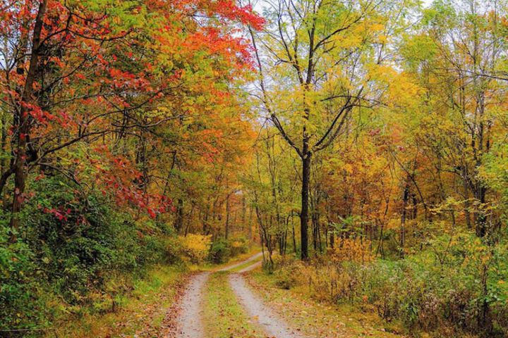 The 312 House a Boho Retreat Hocking Hills