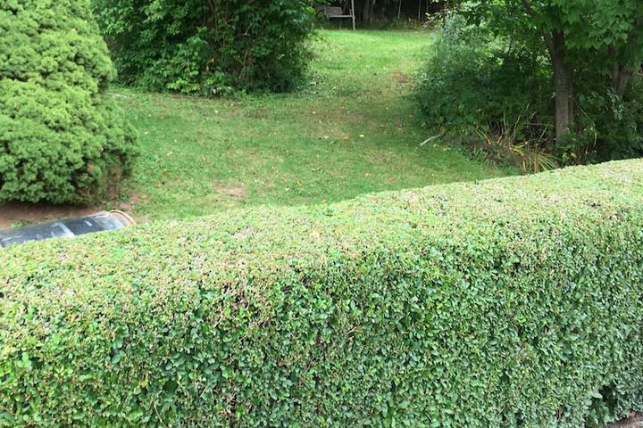 Property Grounds 16 of 18