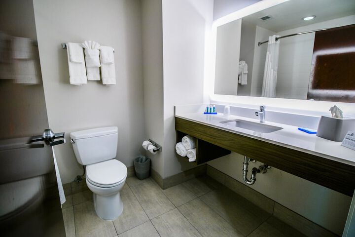 Holiday Inn Express Hotel & Suites a Baton Rouge-Port Allen by IHG
