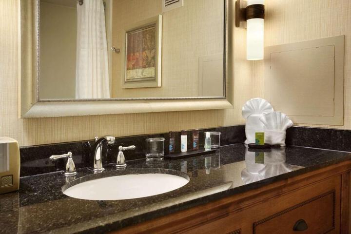 Embassy Suites by Hilton Hotel Columbia-Greystone