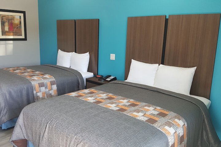 Room 31 of 40