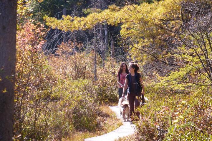Les Refuges Perchés Mont-Tremblant