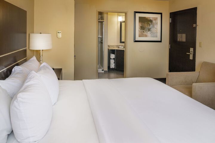 Embassy Suites by Hilton St. Louis Airport