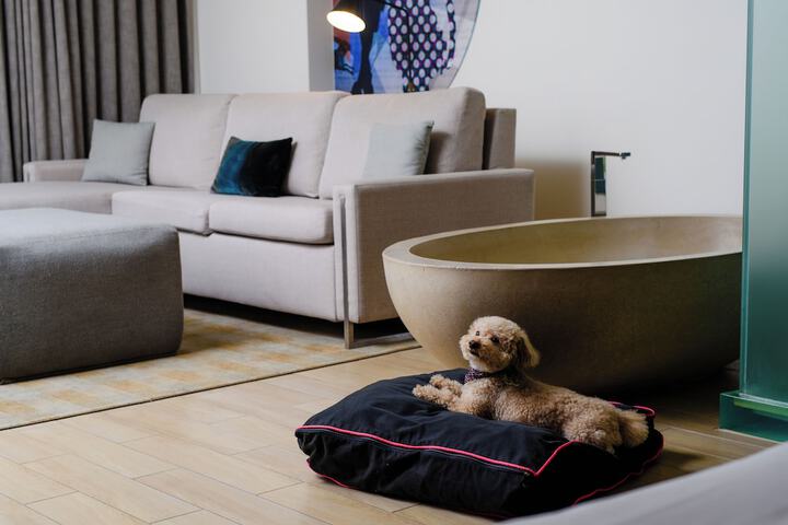 Pet Friendly 148 of 150
