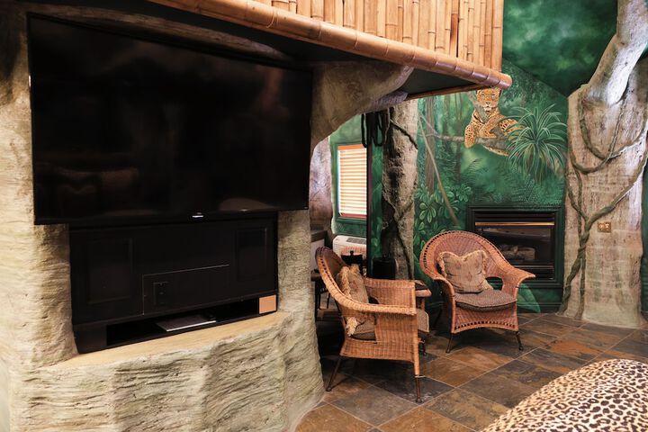 Black Swan Inn