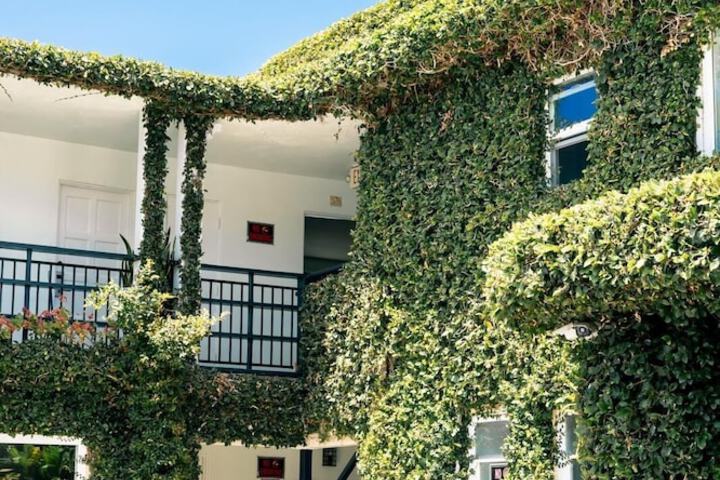 Laguna Cove Hotel