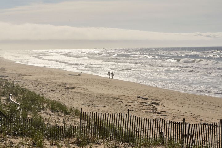 Marram