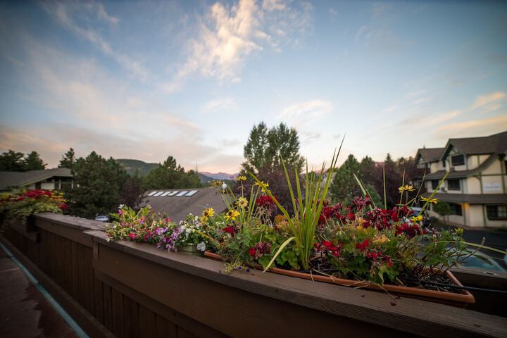 Terrace/Patio 214 of 242